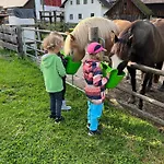Rutarhof
