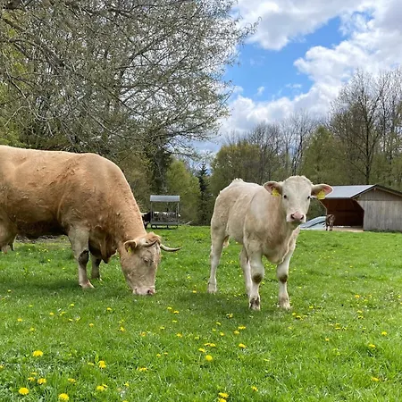 Rutarhof * רוסהג