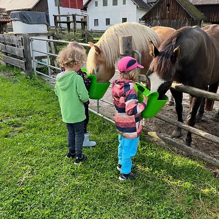 Rutarhof