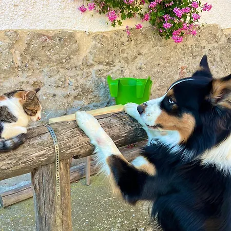 Apartment Rutarhof *