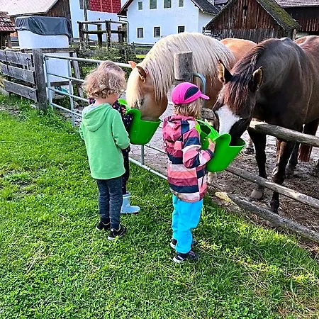 Rutarhof