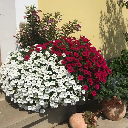 Rutarhof Rosegg
