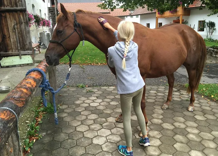 Rutarhof Апартаменты