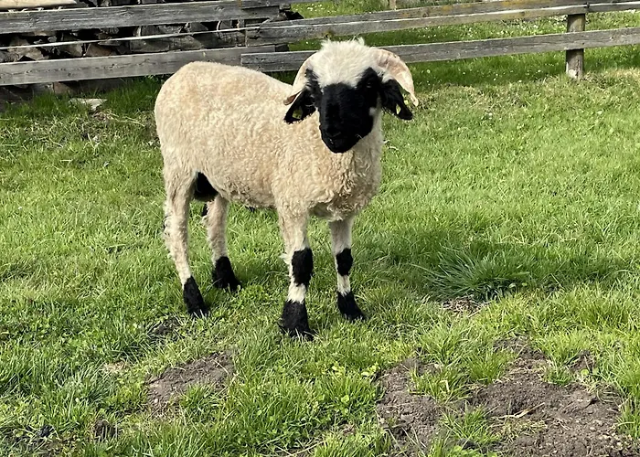 Rutarhof Апартаменты *