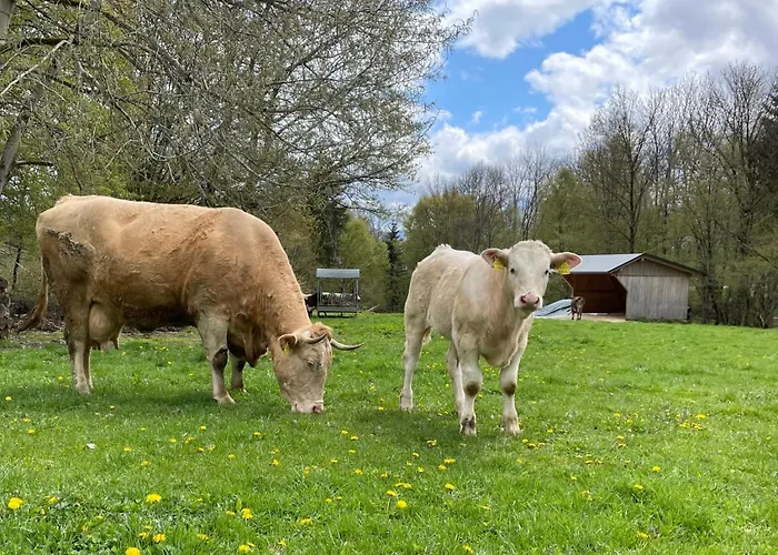 Rutarhof * Розег