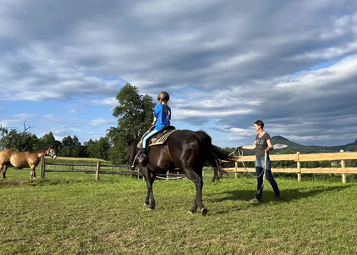 Апартаменты Rutarhof Розег