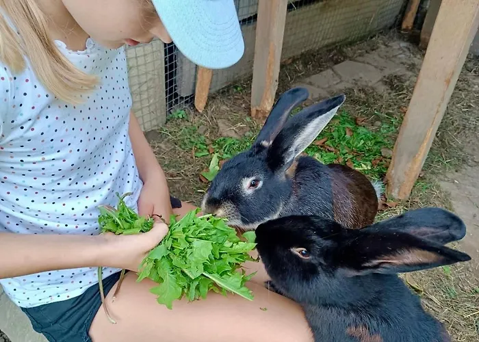 Rutarhof Апартаменты