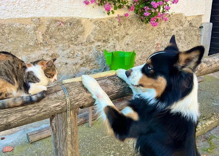 Апартаменты Rutarhof *