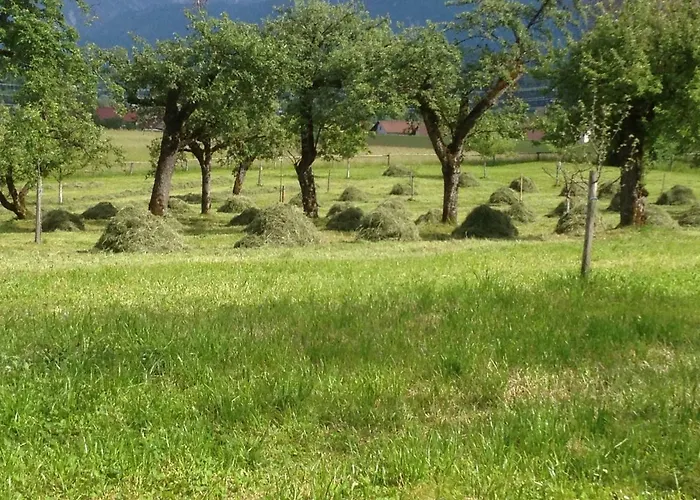 Апартаменты Rutarhof *