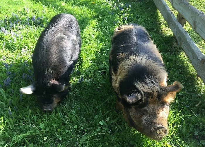 Rutarhof Апартаменты Розег